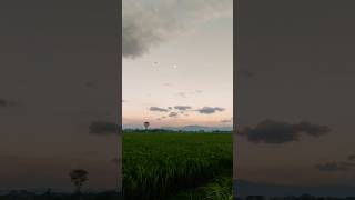 Senja Dibatas Desa nature panoramaalam pemandanganbagus