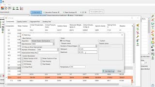 PVT Designer Tutorial 8: Matching the Lumped Model