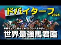 【ドバイターフ】1倍台の世界最強馬と真っ向勝負。海外馬のレース内容をラップ面から分析。