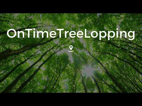arborist near me