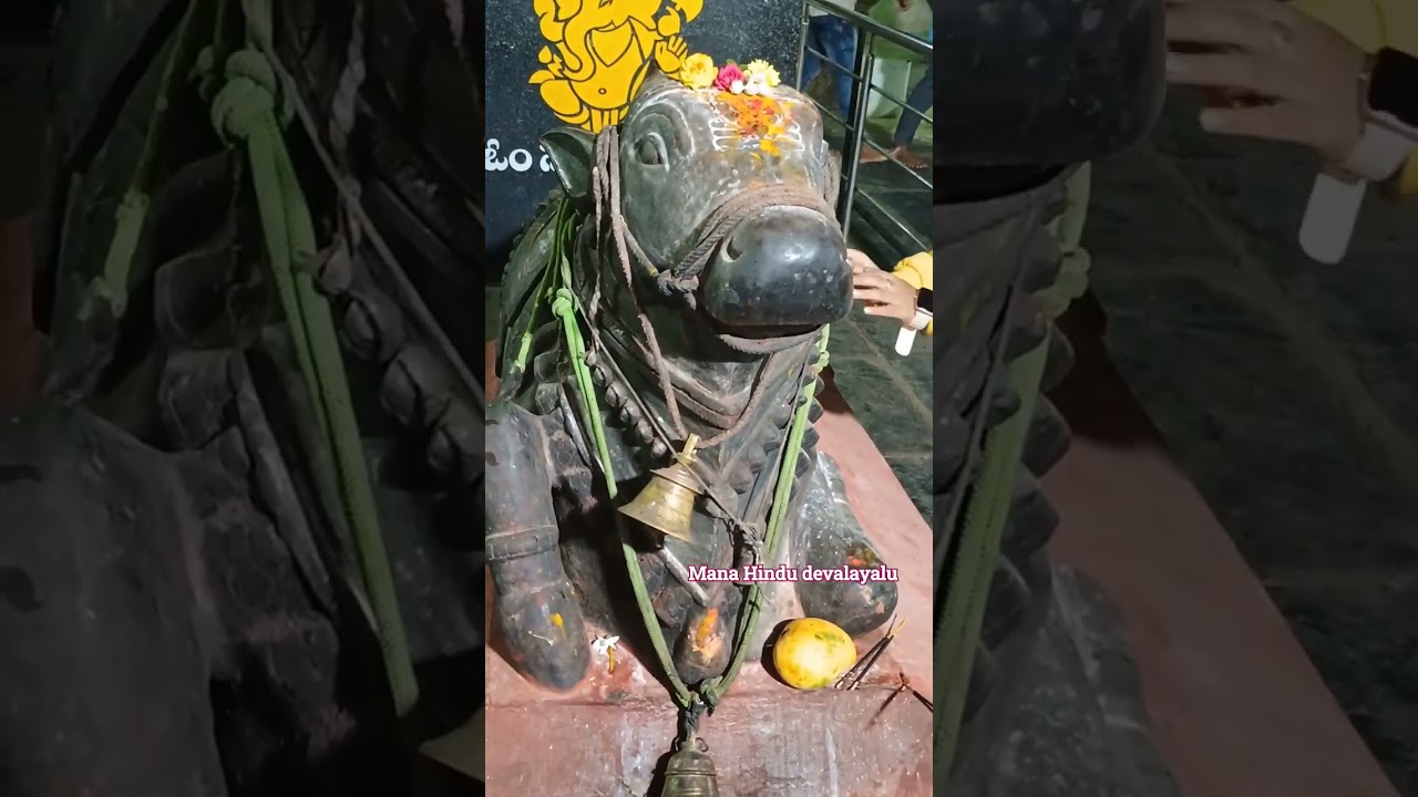 Basava Basappa basava raja 