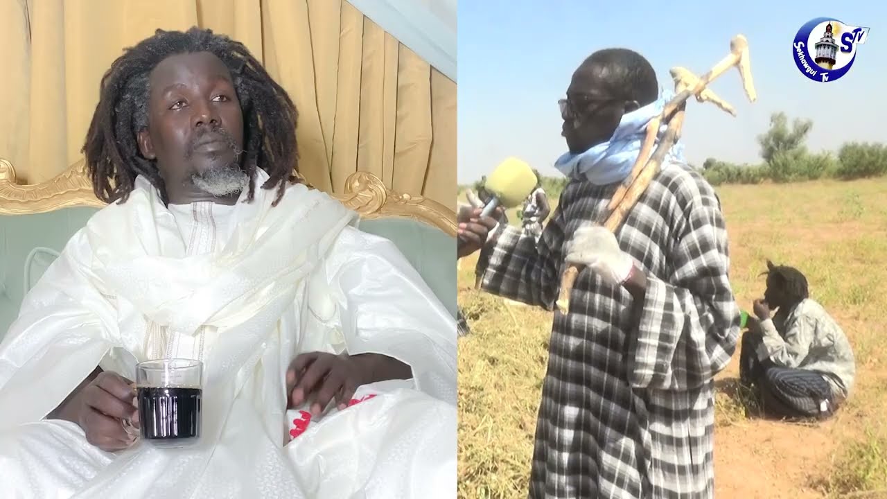 tolly serigne massamba loum mbamba kase