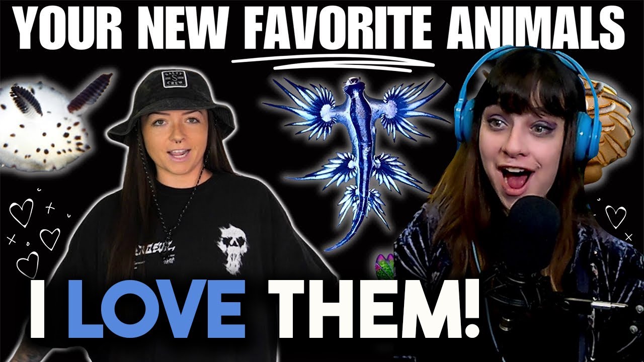 *She's wrong, I don't like them. I LOVE them!* Sea Slugs I think you'll LIKE-Lindsay Nikole