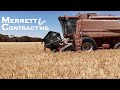 Wheat Harvest Is Done!! | Australian Wheat Harvest | Case IH 2188 | Filmed 10-12-2021