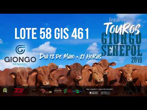 LOTE 58 GIS 461