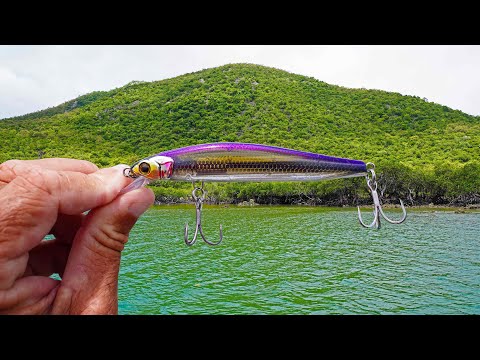 Fishing Coastal PARADISE....