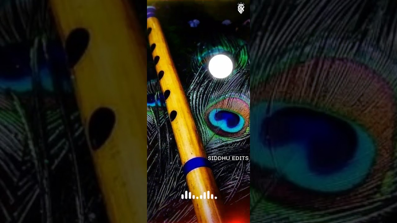 New gondi WhatsApp status 2021 full screen