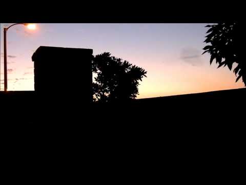 Bat fly by, feeding on moths, HD with slow motion