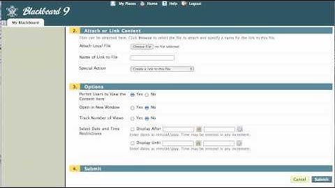 Blackboard 9: Adding External Links