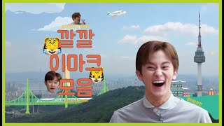 [NCT 마크] 엔라 속 론리깔깔 이마크 모음 2 ( ͡•. •. ͡ )