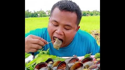 ăn ốc bươu khổng lồ.