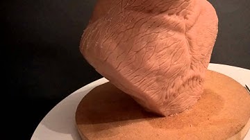 My Alien creature made of Super Sculpey, painted with Airbrush and Acrylic paints