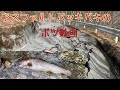 [渓流ルアー] ランディングネットランディングしたボツ動画