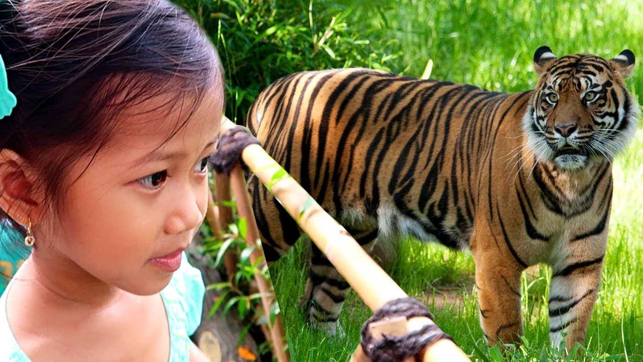 Ke Kebun Binatang  Belajar Mengenal Nama  Hewan  Gajah  