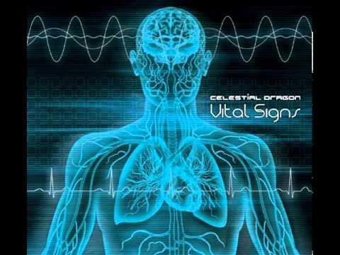 Distant System - Pupillary Response - YouTube