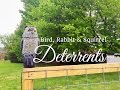 Bird, Rabbit & Squirrel Deterrents for your Vegetable Garden