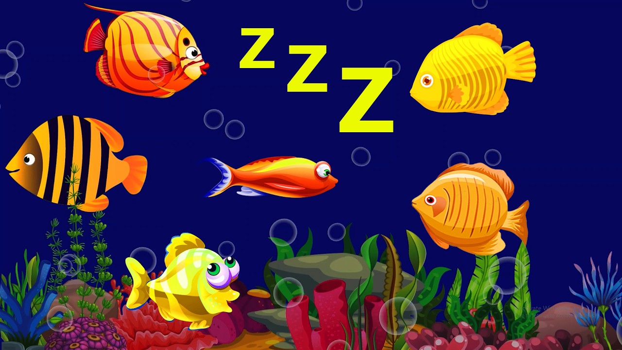 Sleep Instantly Within 3 Minutes ♥ Mozart Brahms Lullaby ♫ Lullaby for Babies to Go to Sleep #13