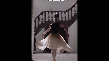 Spin of elementary particles #Physics #Spin #Ballet