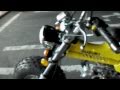 Skyteam T-REX50 バンバン RV90 レプリカ　（テクニカルT50）