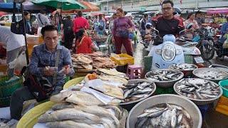 Cambodian Chbar Ampov Fish Market Scene - Plenty Dry Fish, Alive Fish &amp; More Seafood In Fish Market