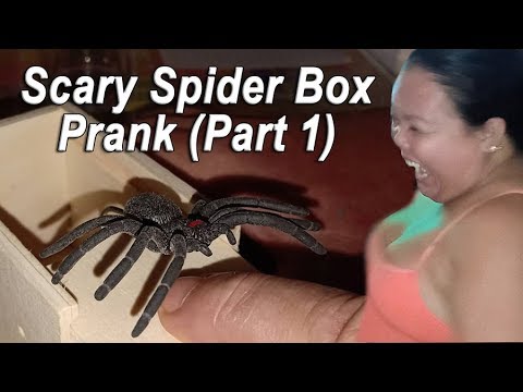 🕷scary-spider-box-prank-(part-1)