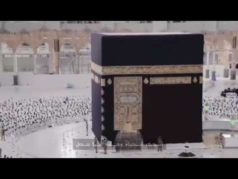 واليوم قام إمامنا في فرضه أنشودة جميلة بعد إلغاء التباعد في الحرمين بعد سنتين للمنشد علاء ناجي