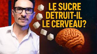 Que Fait Le Sucre Sur Notre Cerveau?
