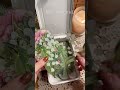 ASMR | 1分コラージュ