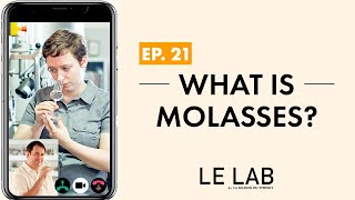 What Is Moles ? Ep. 21