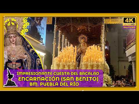Hermandad del Santísimo Sacramento, Pontificia y Real Archicofradía de Nazarenos de la Sagrada Presentación de Jesús al Pueblo, Santísimo Cristo de la Sangre, Nuestra Señora de la Encarnación Coronada y San Benito Abad