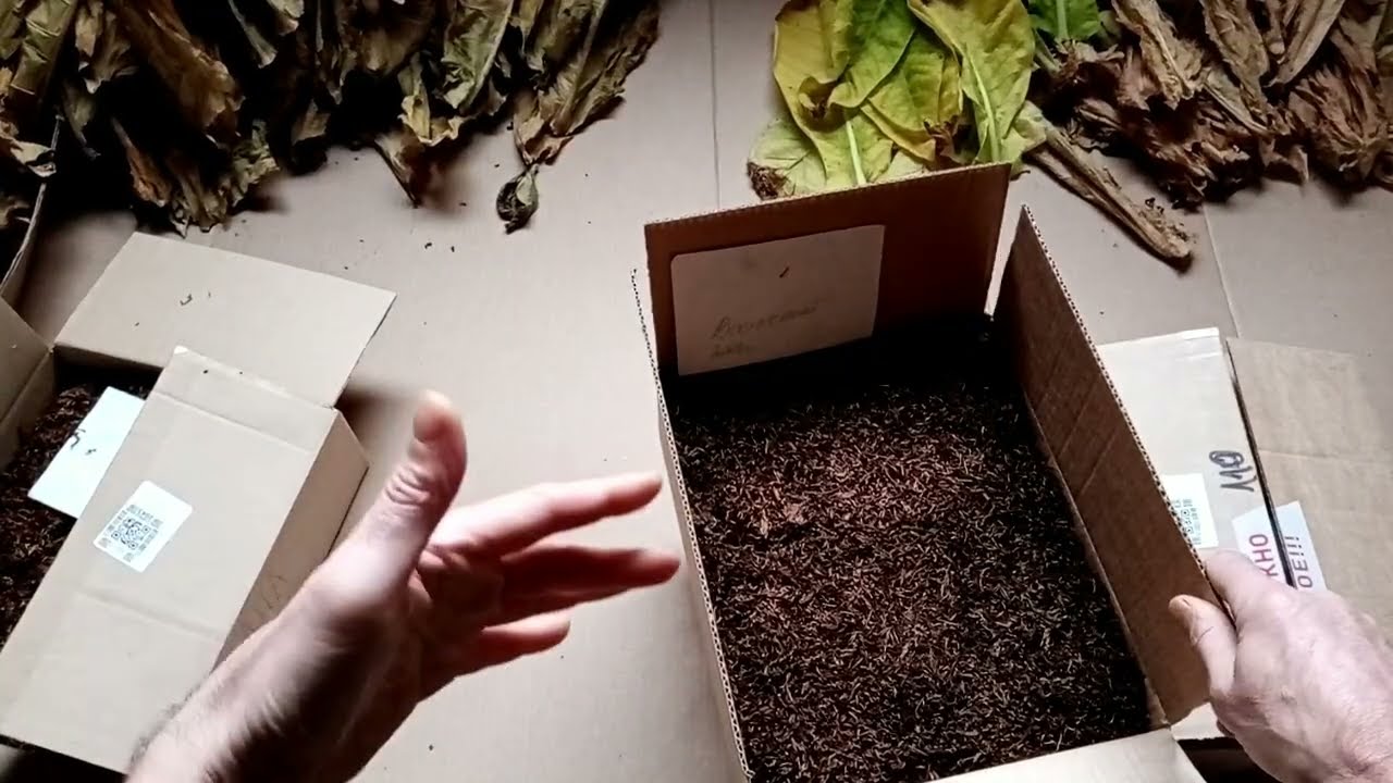 Обзор на 28.11.2025. ферментация это вчерашний день.