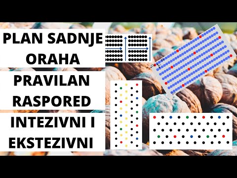 Video: Kako Sastaviti Program Korekcije