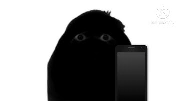 Angry Munci when Nico