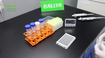 Aflatoxin B1 Rapid Test Kit - Detection of Aflatoxin B1 in Peanut - BALLYA