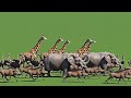 Animal Stampede Overlay Green Screen | Cinematic Effect All Animals Running