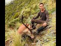 Hard Yards Stag - Red Deer, Chamois, Tahr & Roar Hunt (Episode 7)