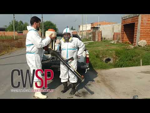 Tareas de fumigación y descacharrización