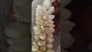 #@lexissbeautycare27 #flowermaking #flowermakingtutorial #flowers