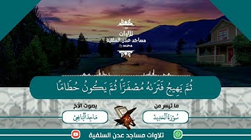 ما تيسر من سورة الحديد / بصوت الأخ ماجد اليافعي / تلاوات مساجد عدن السلفية#
