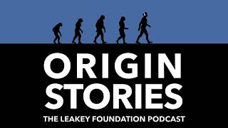 The Story of Human Hair with Tina Lasisi - Audio Only by The Leakey Foundation 402 views 7 days ago 35 minutes