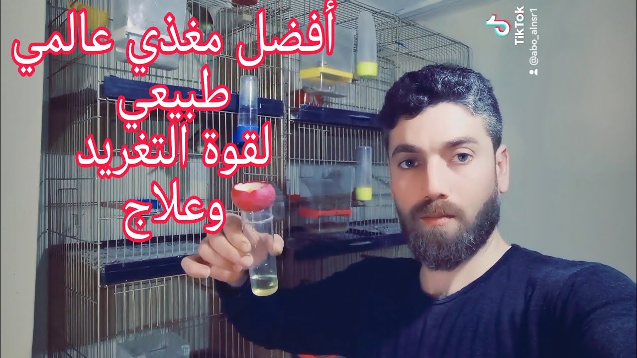 أقوى مغذي على وجه الأرض لعلاج بحة الصوت ونزلات البرد عند طيور الكناري والحسون