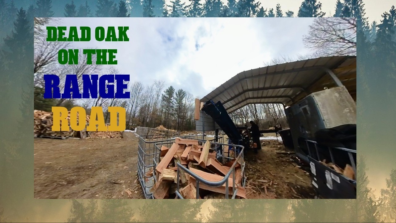 Dead Oak on the Range Road