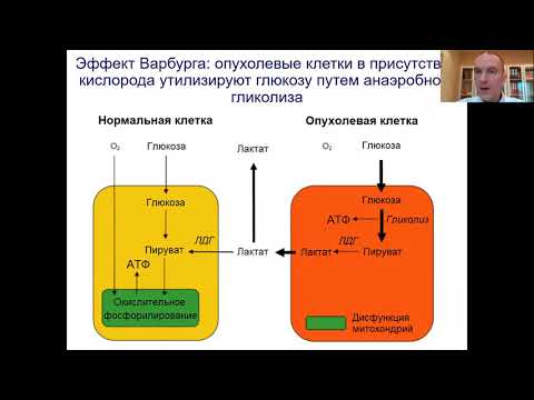 Этиология и патогенез опухолевого роста