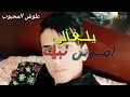 عشك موت اموتن بيك يلغالي عشك موت اموتن بيك يلغالي