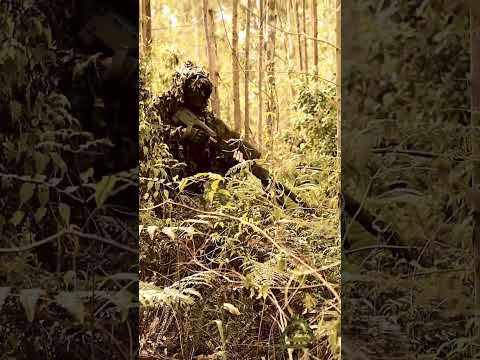 Vídeo: Os trajes ghillie funcionam?