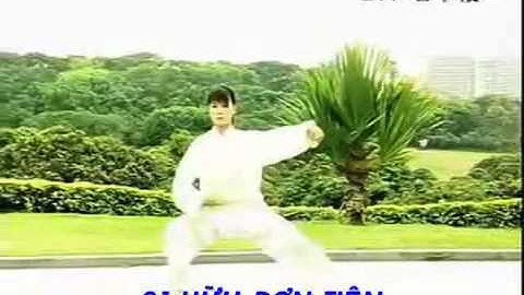 TRẦN THỨC THÁI CỰC QUYỀN 56 THỨC CÓ TÊN THỨC   NHẠC VIỆT   YouTube