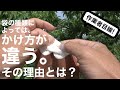 【どうやるの？】桃の袋のかけ方 -初心者向け-
