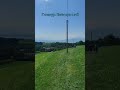 "Господь, Ты Пастырь мой":(Псалом 22).