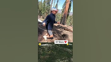 SIERRA NEVADA TRAIL RUN ⛰️🏃