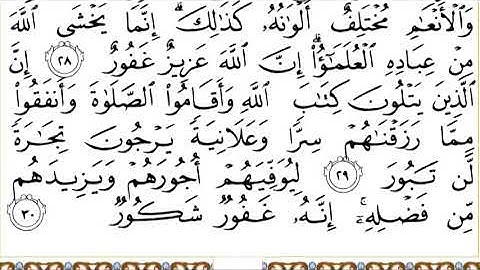 35 Fatir سورة فاطر  Surah By Sheikh Saud Al  Shuraim